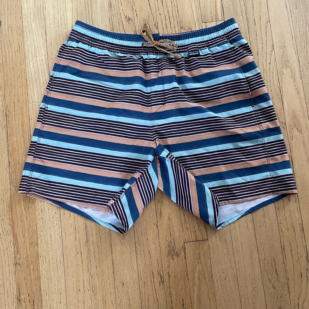 Patagonia Striped Blue and Tan Men's Swim Shorts